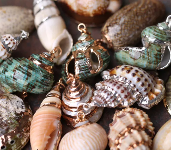 mix style Shell Charm Pendants Conch Sea Snail 3cm x 2.1cm-3.1cm x 3.5cm 30pcs mix style Shell Charm Pendants Conch Sea Snail 3cm x 2.1cm-3.1cm x 3.5cm 30pcs