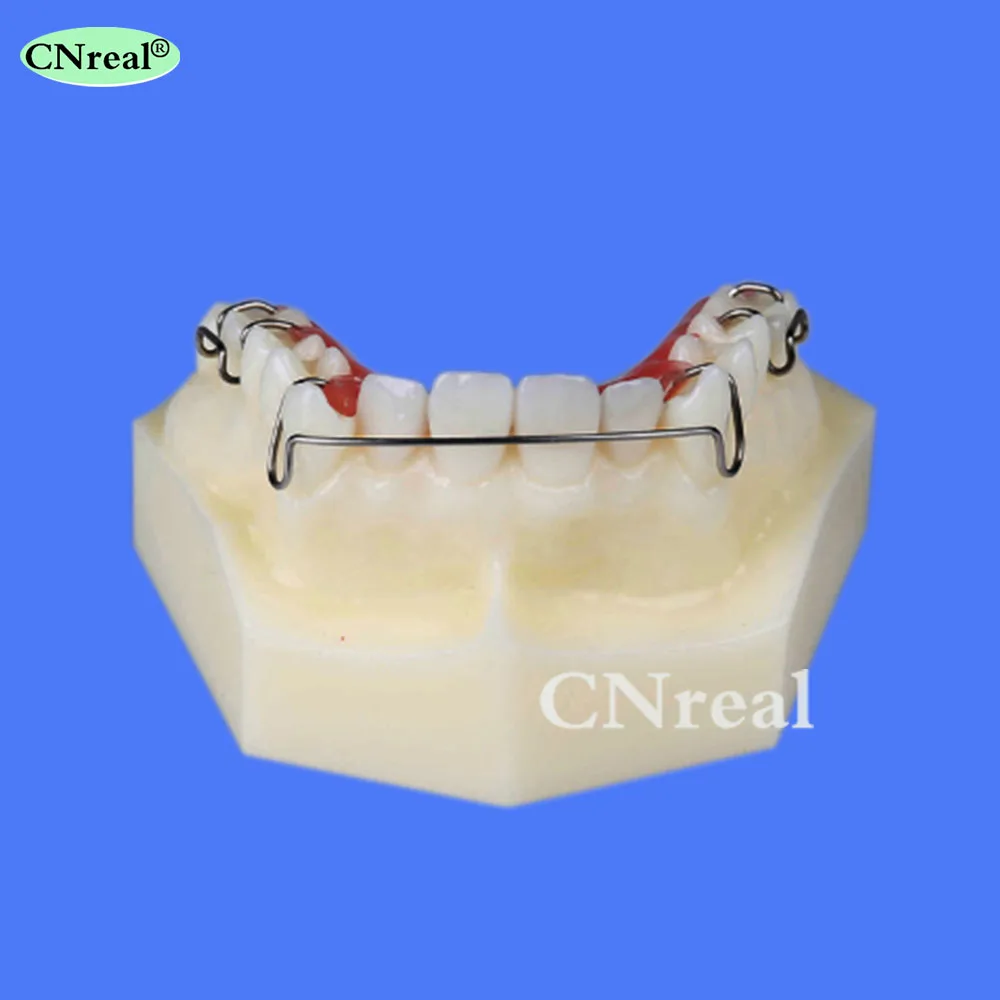 1 шт. Стоматологические Ортодонтические Зубы Модель фиксатор демонстрация