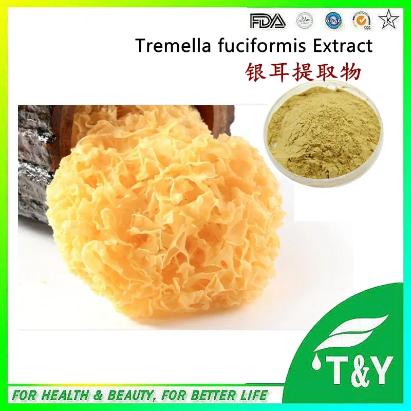 800g/lot Factory Price Tremella Fuciformis Berk Extract powder with free shipping |