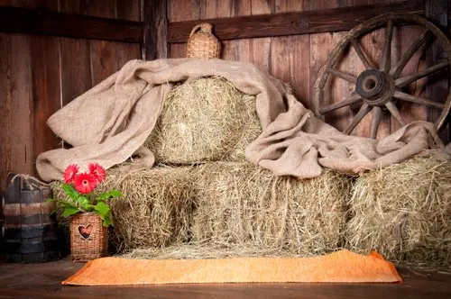 

5x7ft art photography backdrop indoor background for studio farm rick photo background