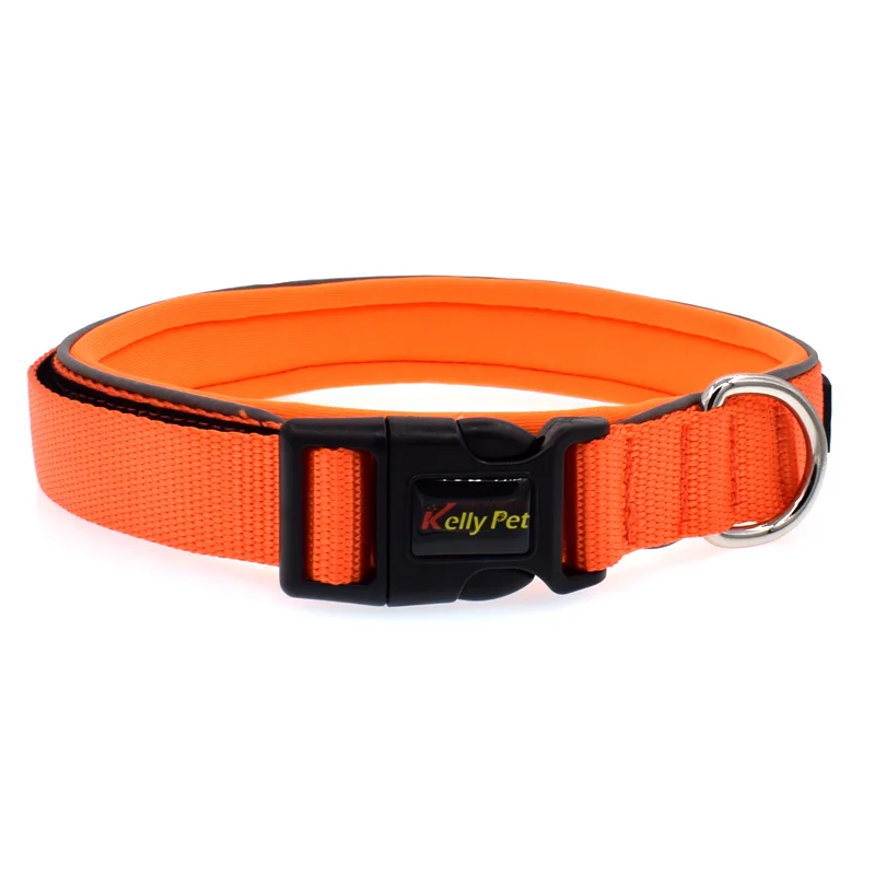 04 dog collar training 