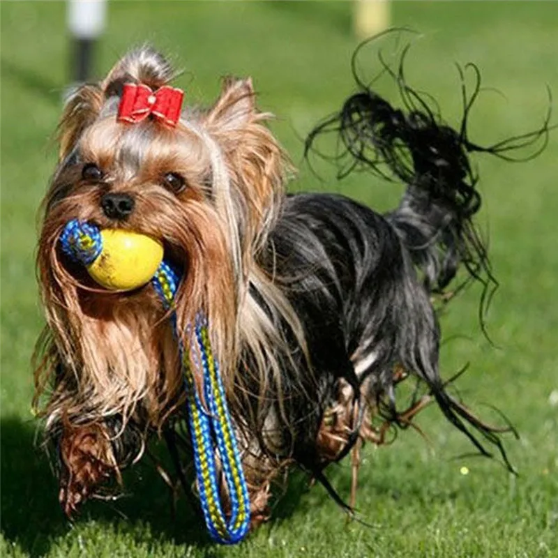 7/9 см интерактивная игрушка для собак зубная щетка EVA мяч для собак с игрушки из веревки для животных для щенков щенок гибкий в воде товары для домашних животных