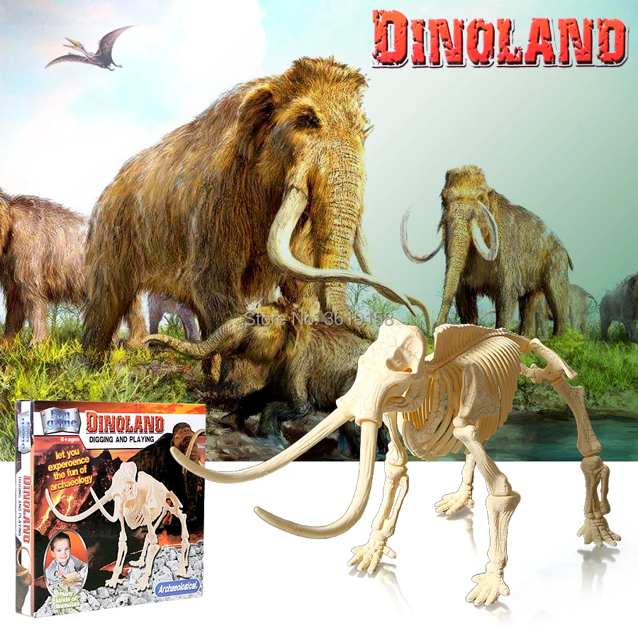 

3D Digging and playing excavation kits Dinosaur models assembly toy set,for kid experience fun of archaeology skeleton build toy