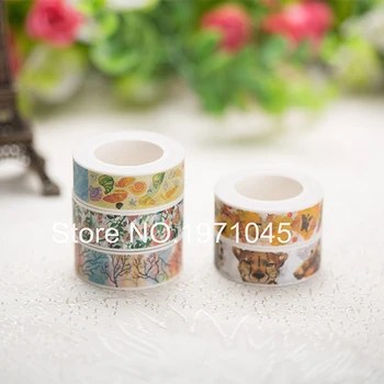 

Fresh design Pattern various style decoration washi tape for choice
