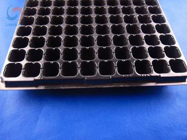 5pcs 200 Cells Plastic Nursery Tray Seed Easy Out Sowing 5pcs 200 Cells Plastic Nursery Tray Seed Easy Out Sowing Flats 21