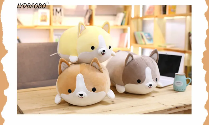 HTB1QFZAhdrJ8KJjSspaq6xuKpXap