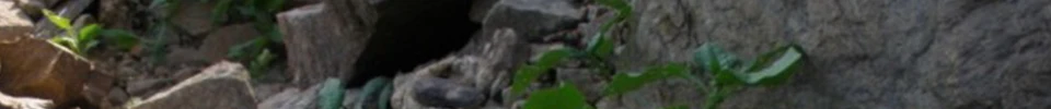 ENG_48