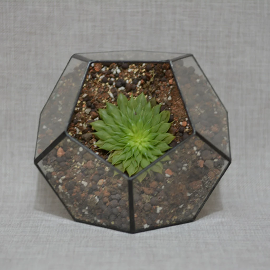 2 Pieces Different Kinds of Modern Glass Geometric Terrarium Box Tabletop Succulent Plant Planter