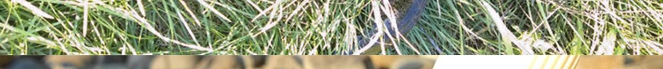 ENG_49