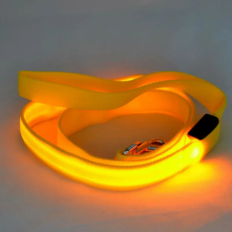 G10_120cm_Nylon_Pet_LED_Dog_Leash_Night_Safety_LED_Flashing_Glow_LED_Pet_Cat_Dogs_Drawing_Small_Leads_for_LED_Dog_Collar_ (6)