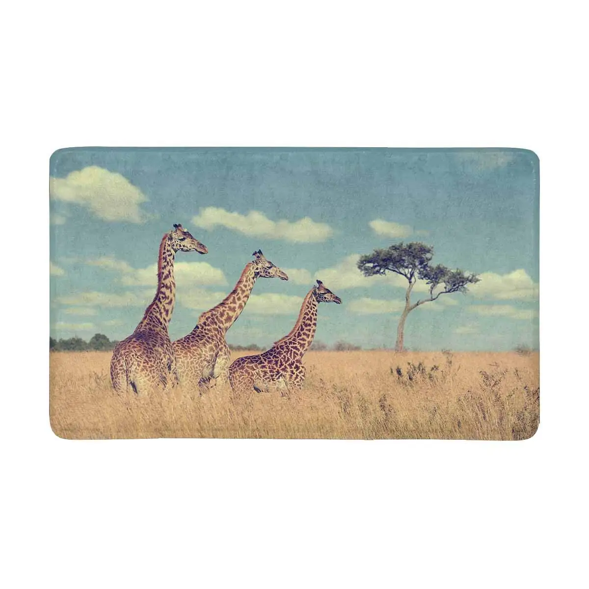 

Group Giraffe in National Park Kenya, Africa Indoor Doormat Latex Backing Non Slip Door Mat Entrance Rug