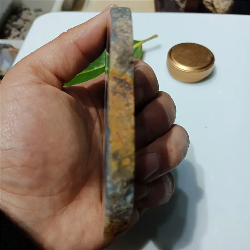 IMG20190224122054