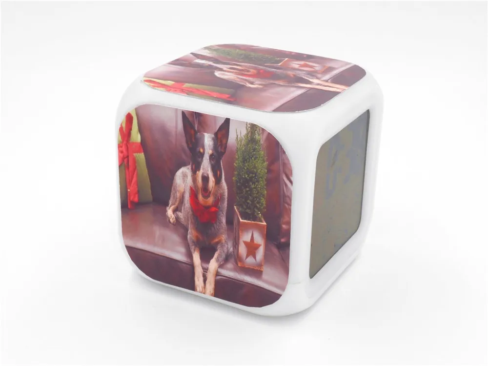 Australian Queensland Heeler Led Alarm Clock 5
