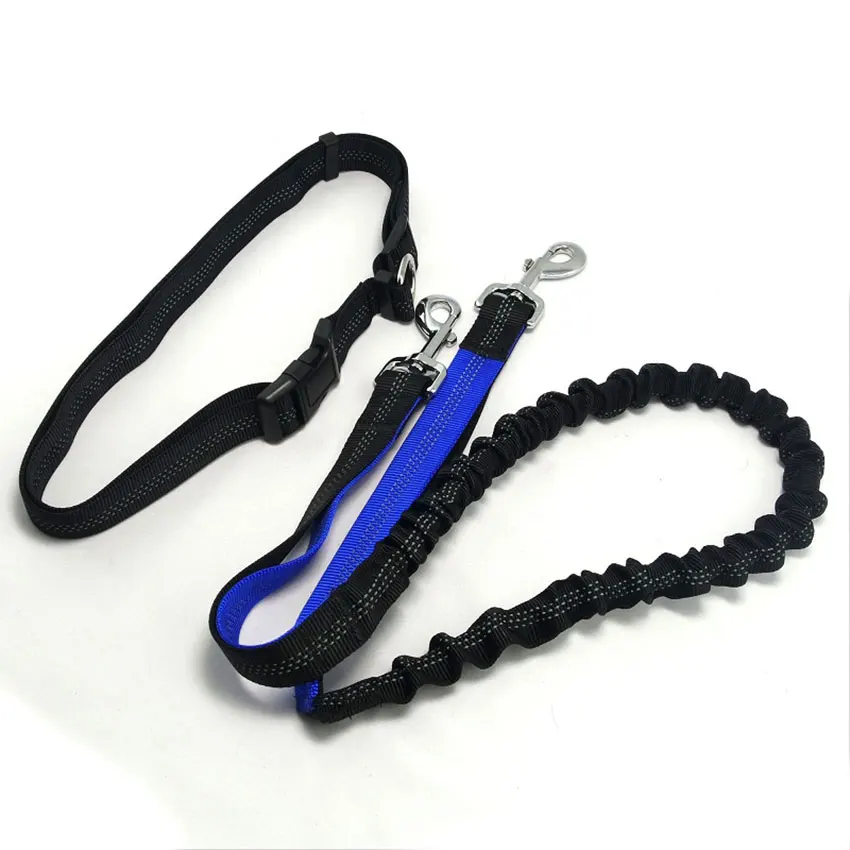 running dog leash