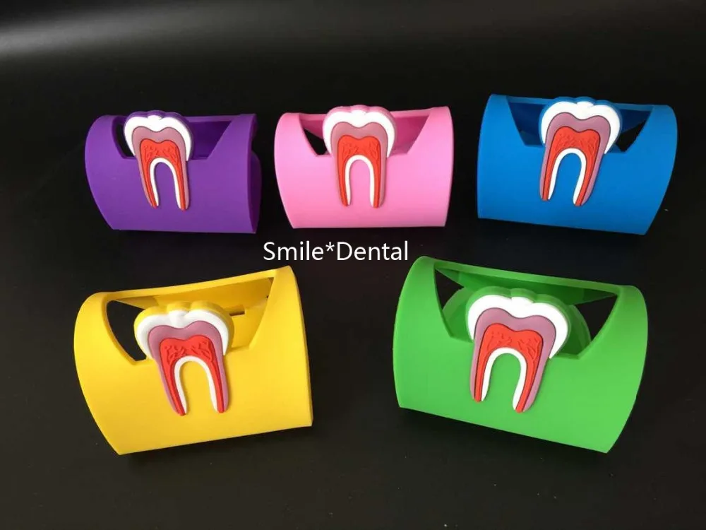 5 шт. стоматологический резиновый футляр для зубных протезов зубов держатель