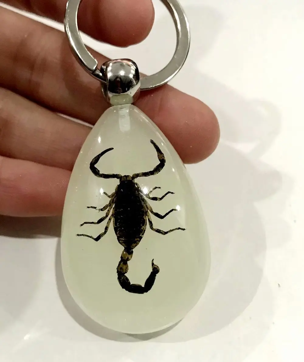 

FREE SHIPPING YQTDMY vogue black scorpion king NO 1 design fashion keychain