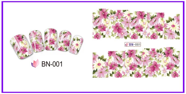 BN-001