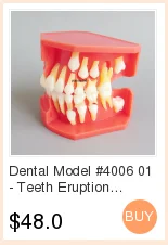 Base de Silicone Mandíbula Edentulosa Dental Modelo Completo Molde Bloco 23 Beleza e saúde