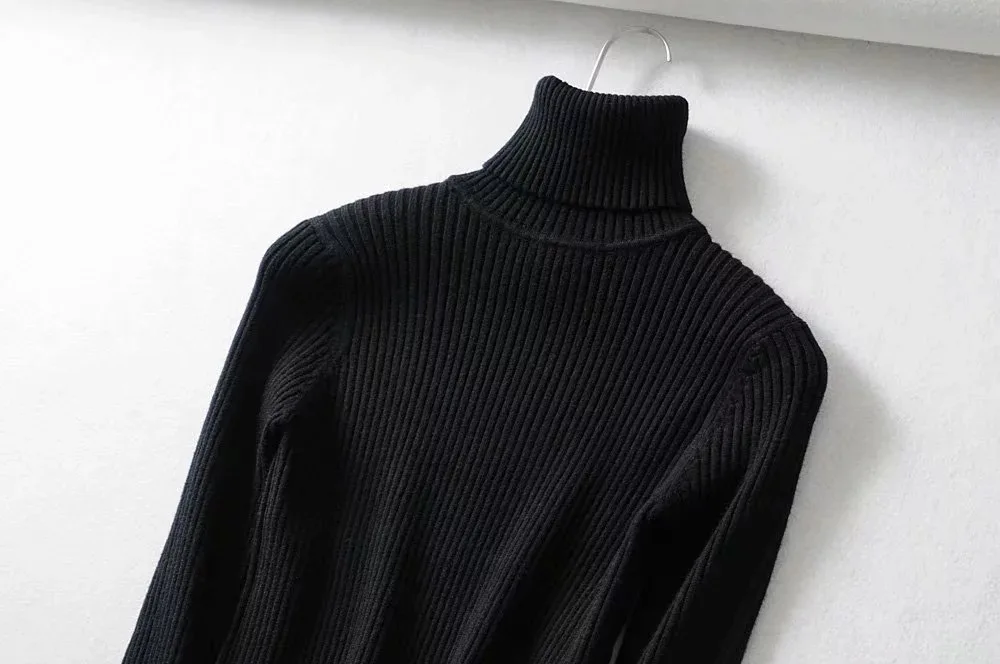 Long sleeved Womens Fall Sweaters turtle neck knitting thin Sweaters Pullovers korean chic casual basic Sweaters streetwear