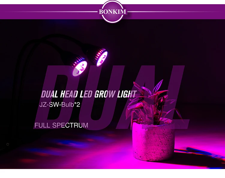 JZ-SW-Bulb_01