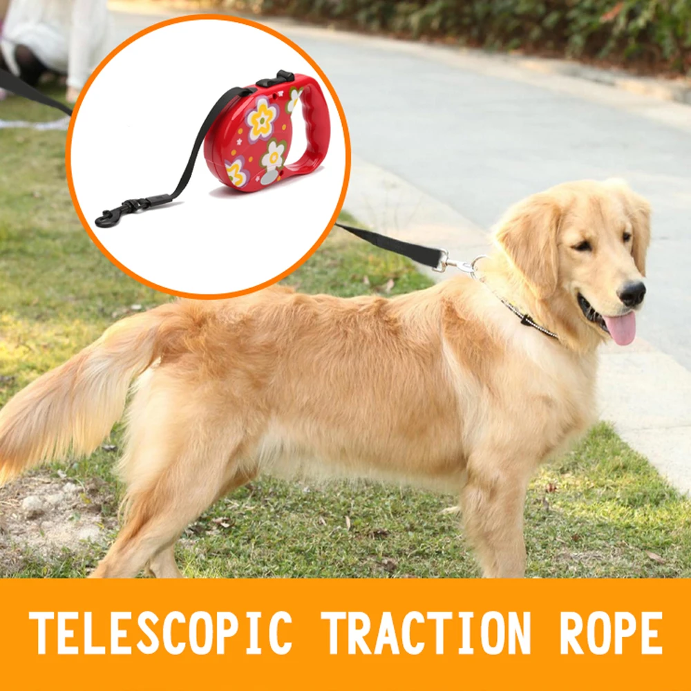 Buy 3M 5M Automatic Retractable Dog Leashes Dogs Are