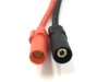 XT150 plug
