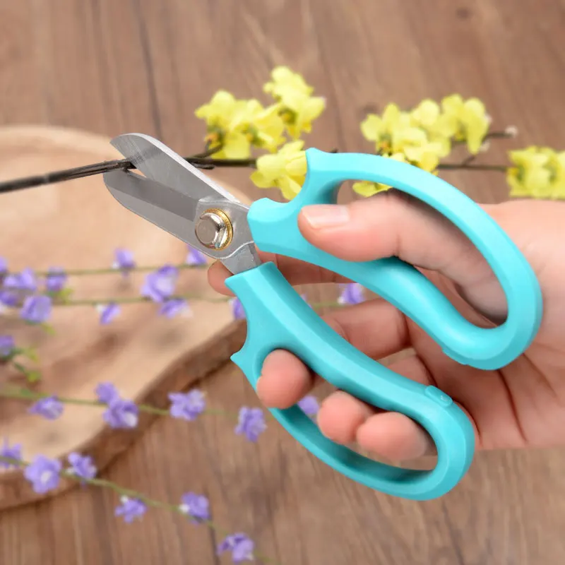 Buy gardening Floral scissors garden Bonsai Pruning