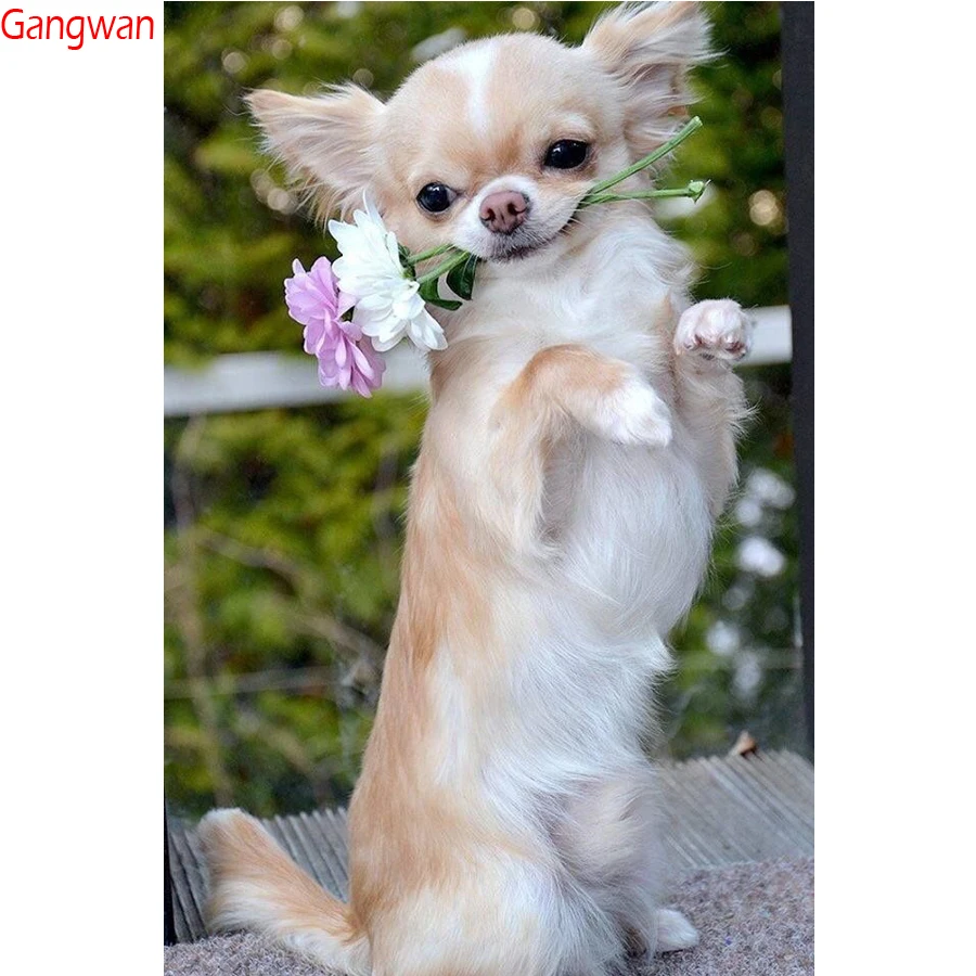 

New DIY Diamond Painting chihuahua Dog Cute Pet Cross Stitch patterns beads Embroidery diamant full rhinestone kits Mosaic Decor