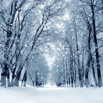 

VinylBDS Winter Photography Backdrops White Snow Forest Background Christmas Photo Studio Background For Children