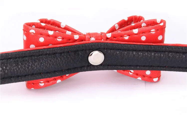 dog collar (9)