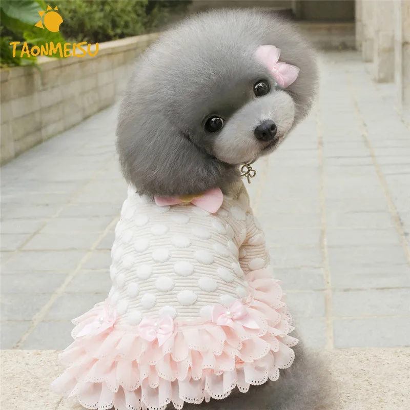 Cute Dot Pet Apparel Autumn Winter Cotton Dog Clothes Blue Pink Dog