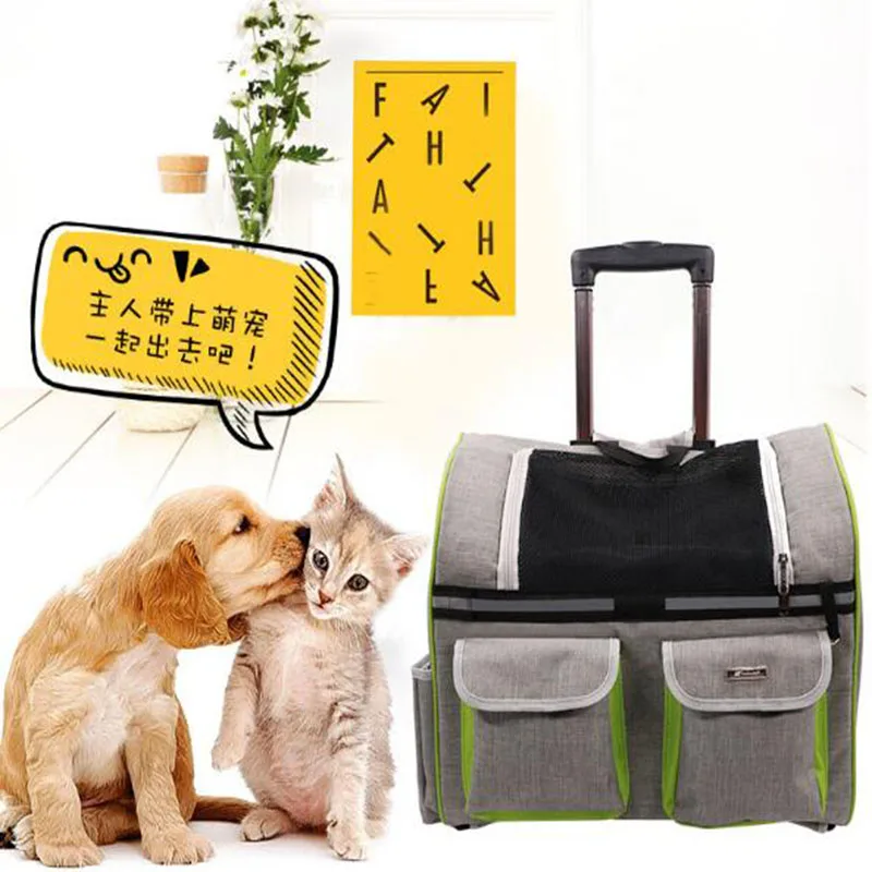 QQ20190429110233 