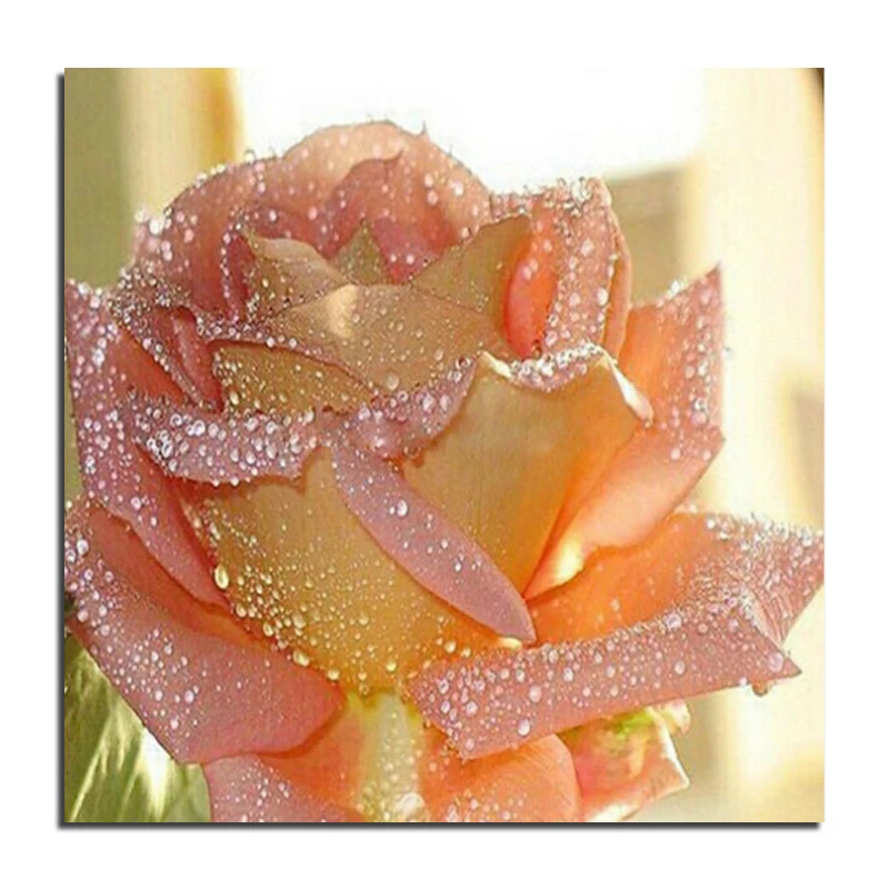 2015 Drip rose 25X25 New crafts painting diy diamond embroidery kits flower full diamond mosaic cross stitch needlework zx