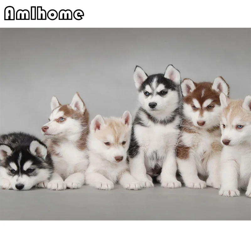 NEW 5D Diamond Mosaic Embroidery Husky Dogs Diy Painting Cross Stitch Square Set Needlework H2149 | Дом и сад