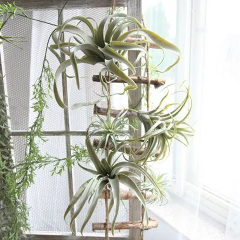 5 uds DIY Artificial plantas carnosas jardín miniatura cactus Artificial  casa decoración Floral bromelia Cuatro tamaños de plantas de alta  calidad|Flores artificiales y secas| - AliExpress