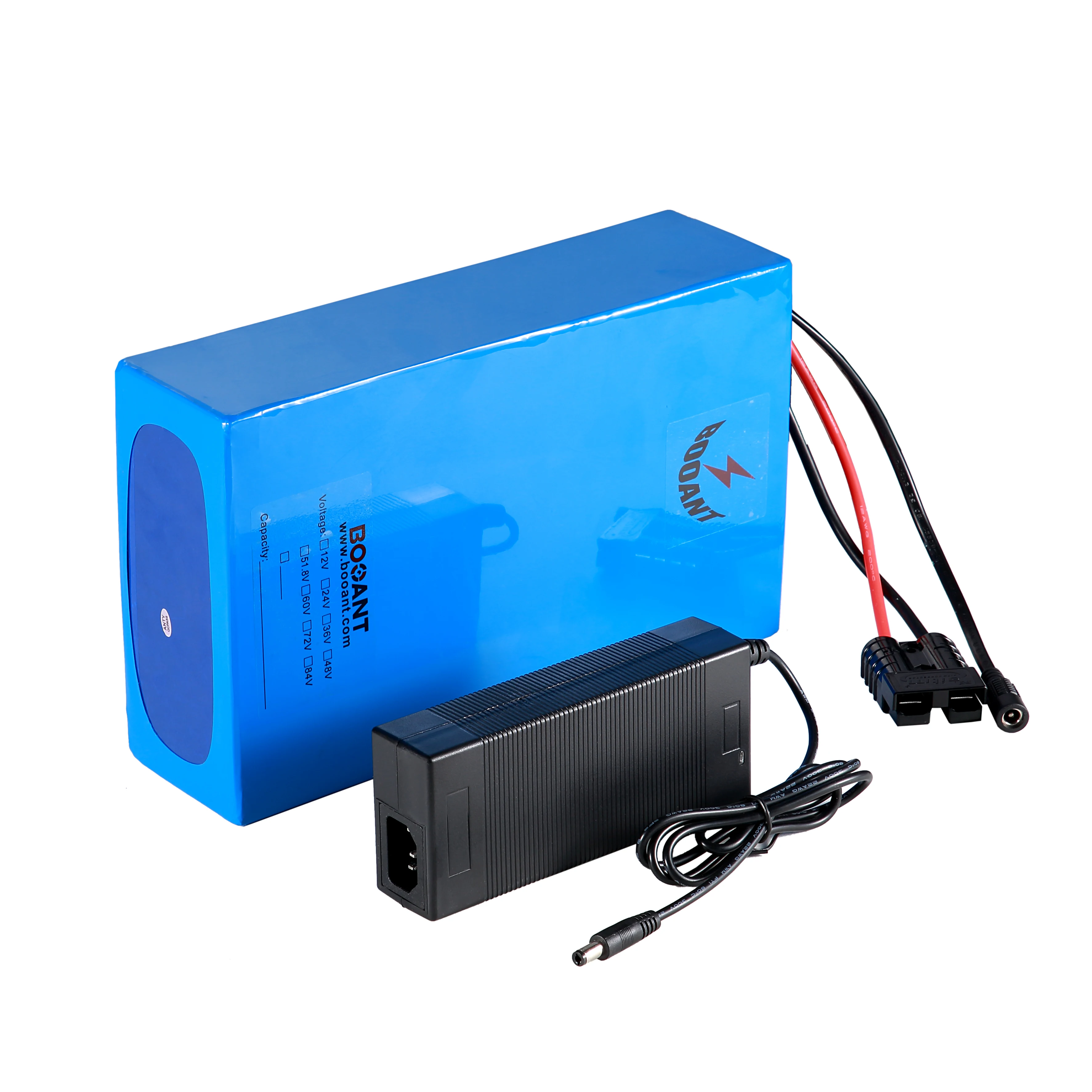 Clearance BOOANT 48V eBike Battery 20ah Lithium Battery 48V 2000w With 2A Charger Electric Bicycle Battery 48V Built-in BMS 3