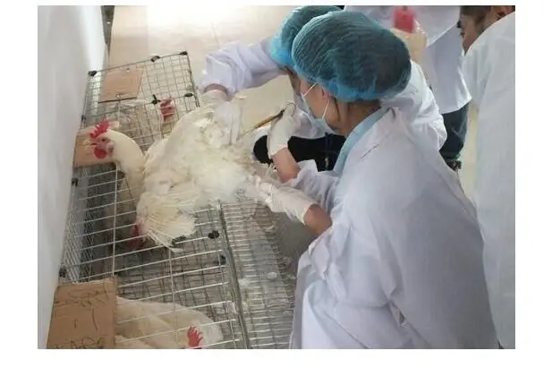 QQ20190511185538