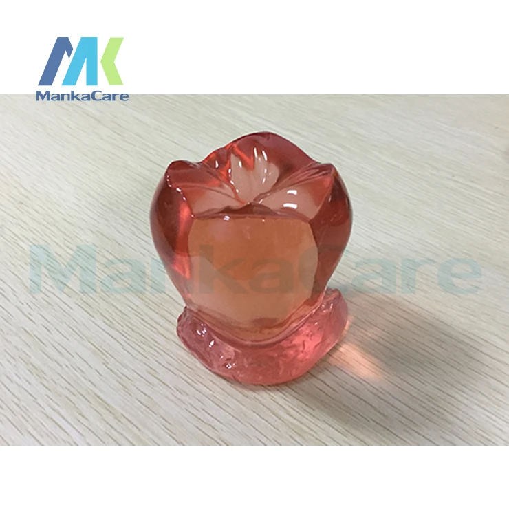 3d Tooth Model Paperweight Tooth Crystal Glass Cube Colorful Crystal