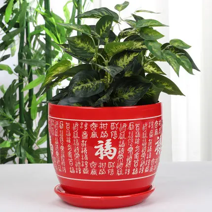 

Chinese Style Big Red Bonsan Ceramic Flower Pot Festive Flower Pot Pure Red Personality Creative Basin