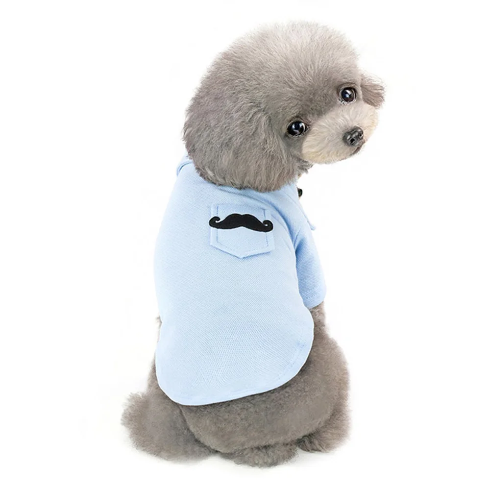 dog polo