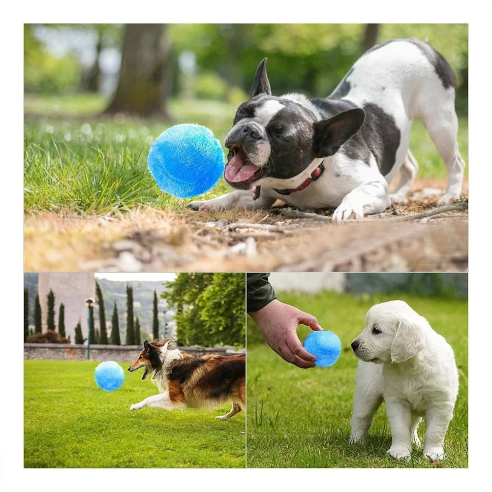 71IZfmHQWhL._SL1024_