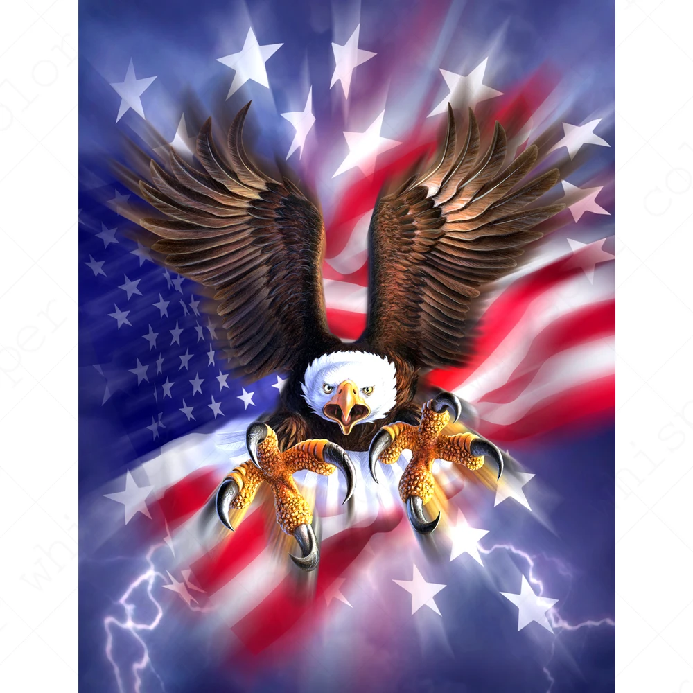 

Full Square Drill 5D DIY Diamond Painting "Eagle American Flag" 3D Embroidery Cross Stitch Mosaic Rhinestone Decor LE01313