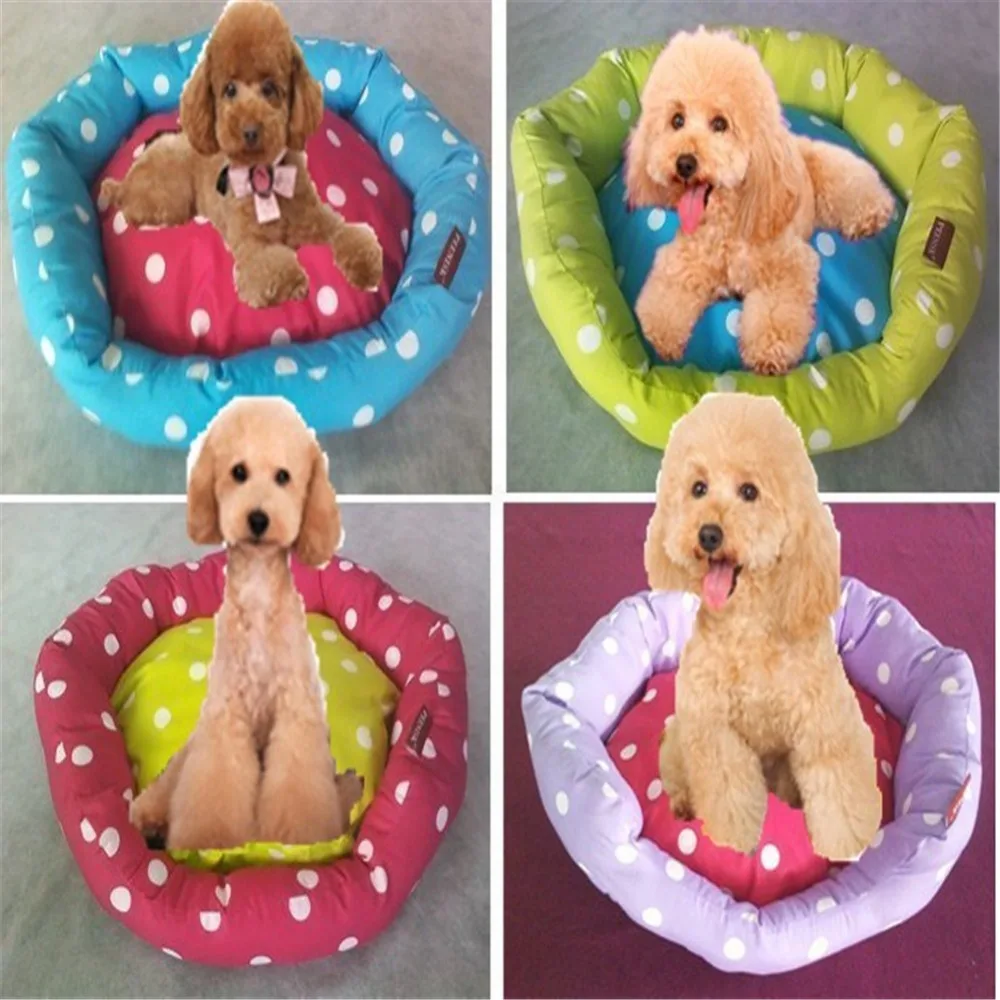 1848645420_1611465256