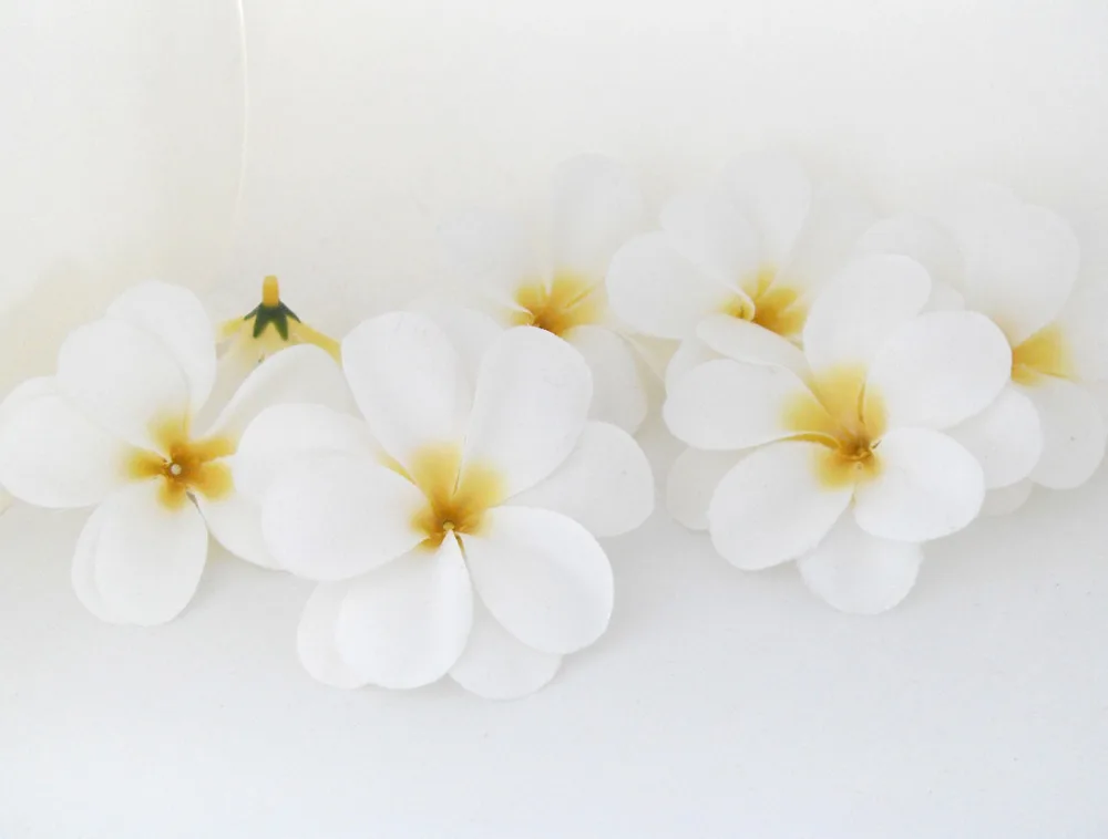 50 Pieces White Artificial Hawaiian Plumeria Frangipani Silk Flowers