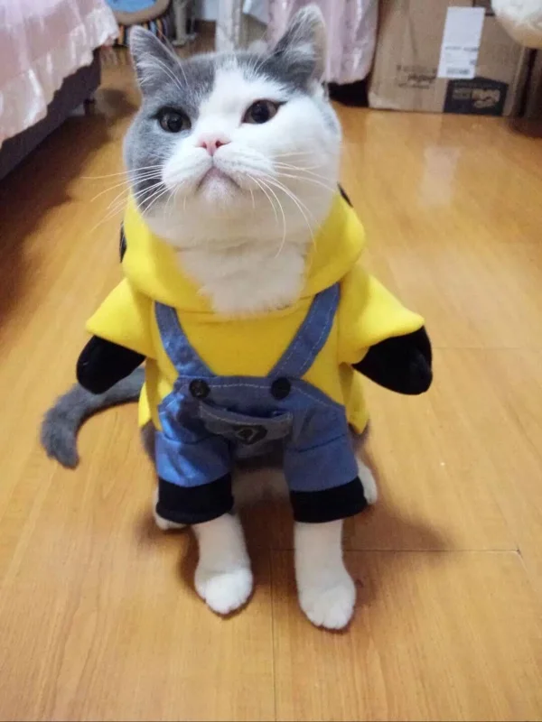 Dog Clothes For Cats Dog Clothes For Cats
