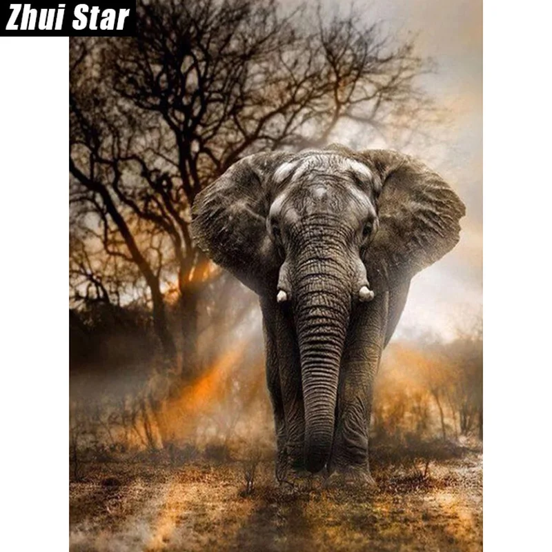 Zhui звезда полный квадратный дрель 5D DIY алмазная живопись "Слон" ручной работы 3D искусства вышивки вышивка крестом, мозаичный Декор подарок VIP