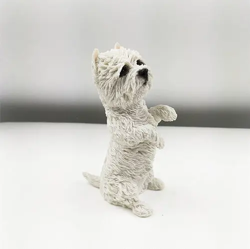 West Highland White Terrier