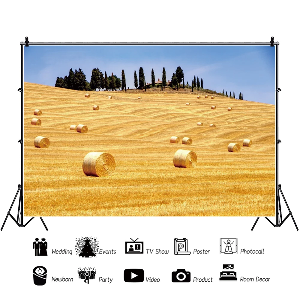 

Yeele Countryside Farm Hay Bale Rural Grassland Field Scenery Photography Backgrounds Photographic Backdrops For Photo Studio