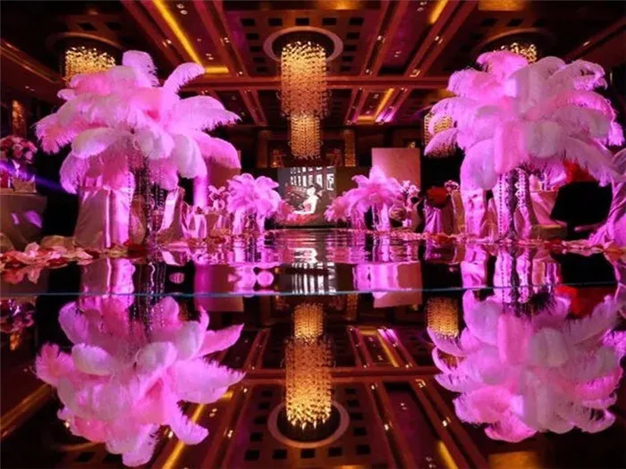 ostrich feathers decorations 4
