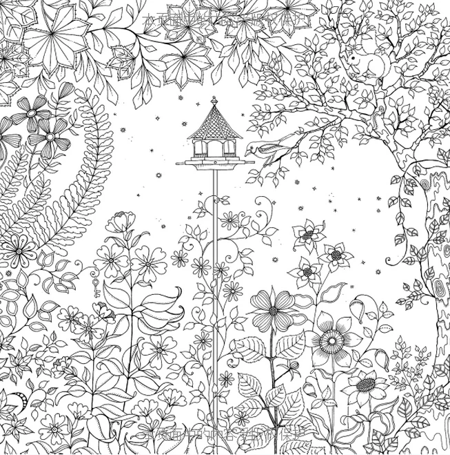 Booculchaha Jardin Secreto Libro Libros Para Colorear Adultos Original Chino Con 96 Paginas En De Oficina Y Escolares
